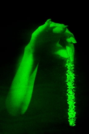 The artist Robert Schinella was commissioned by Cartier to develop this piece, "Hand in Jewels," as a window display for its store on New York's Fifth Avenue. It will be displayed as part of the MIT Museum's second annual winter holography exhibition. 