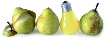 Three pears and lightbulb