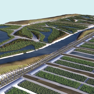 An artist's rendering of a wetlands in the Pontine Marshes.