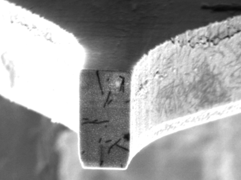 An electron micrograph showing the tip of the cantilever, with virus particles attached.