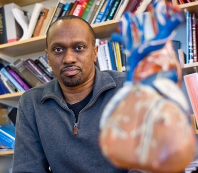 MIT associate professor Collin Stultz, a cardiologist and biomedical engineer, studies the structure of collagen.