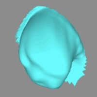 This three-dimensional scan of the ear canal, taken with new imaging technology developed at MIT, could be used to manufacture better fitting hearing aids.