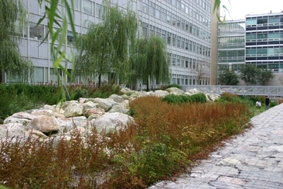 The Stata Center stormwater system.