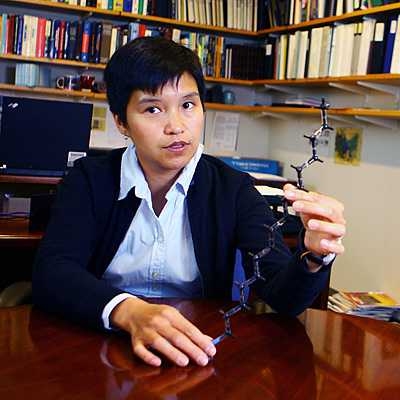 Associate Professor Kimberly Hamad-Schifferli of the Departments of Biological Engineering and Mechanical Engineering