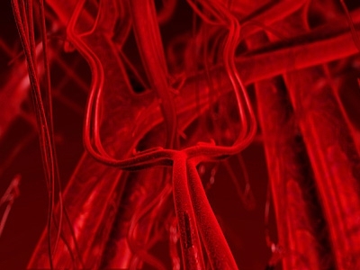 MIT and Tufts researchers have shown that mechanical forces from cells that surround small blood vessels may control the growth of new vessels.