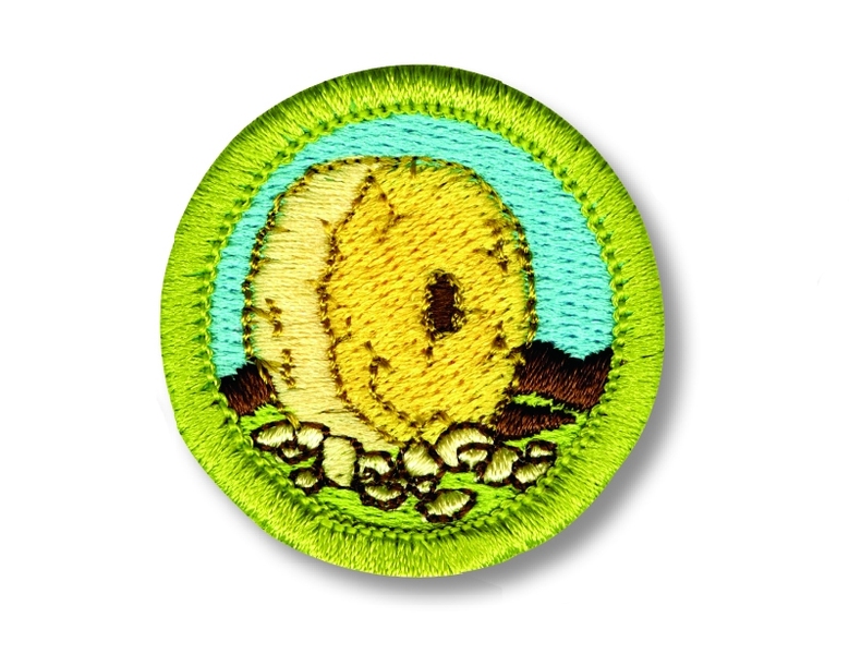 Boy Scouts and the Lemelson-MIT Program introduce Inventing merit badge ...