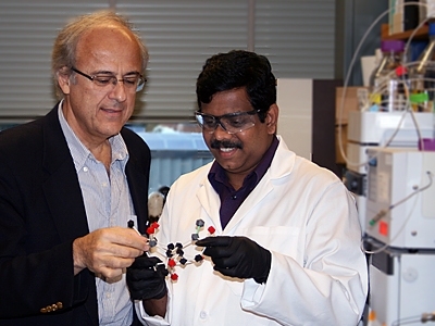 Gregory Stephanopoulos, professor of chemical engineering, left, and postdoctoral associate Ajikumar Parayil have developed a new way to genetically engineer bacteria to produce a precursor to the cancer drug Taxol.