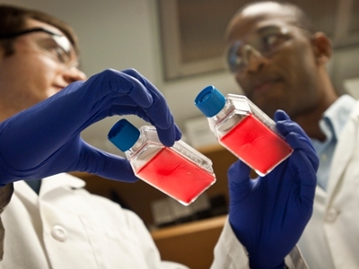 Niles talks with graduate student James Abshire, who holds a flask containing human red blood cells that have been infected with the parasite that causes malaria.