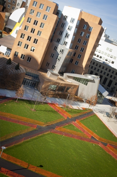 The diagonal pathways of the North courtyard are meant to connect the new building to major destinations on the MIT campus like the Infinite Corridor, the Stata Center and Building 68, which is home to the Department of Biology. The courtyard is designed to have as little asphalt as possible in order to create enough space for people to play football or toss a Frisbee.