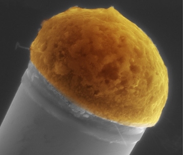Molten droplets of copper, at top, dissolve silicon out of a surrounding silicon-rich gas, and then the silicon precipitates out at the bottom of the drop to gradually build up a silicon microwire. This microscope image has had color added for clarity.
