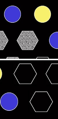 Images used in Hackl's laboratory trials 