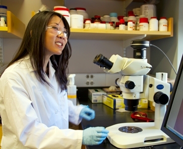 Irene Chou Chen, a doctoral candidate in the lab of Krystyn J. Van Vliet