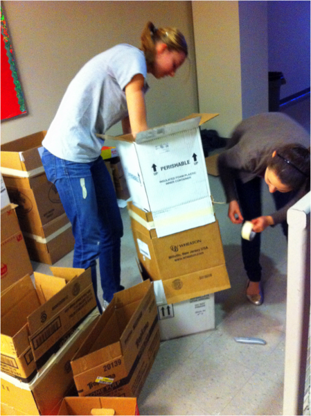 Sigma Kappa Sisters build recycling bins at MIT's Relay for Life. Six bins of materials were collected, sorted and recycled.  