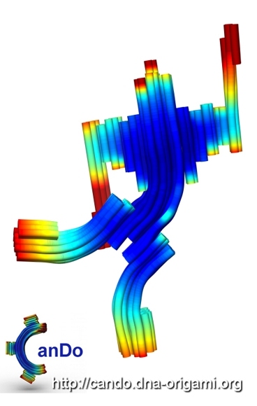The CanDo (computer-aided engineering for DNA origami) program can convert a 2-D DNA origami blueprint into a complex 3-D shape, seen here.