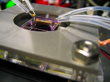 Zinc oxide nanostructures are directly synthesized in parallel microfluidic channels (held by the metal frame) by flowing reactants through the tubing. The microfluidic structure not only creates the device, but also becomes the final packaged functional LED device itself.