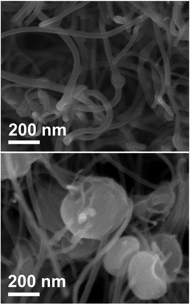 As the battery is used, particles of lithium peroxide form as small dots on the sides of carbon nanofibers (top), and eventually assume larger toroidal(donut) shapes as the battery continues to discharge (bottom), as seen in these scanning electron microscope images.