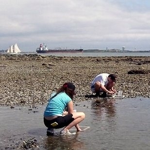 MIT Sea Grant Ocean Science Interns, Susanna Elledge and Dave Mathews, sampling at Spectacle Island.