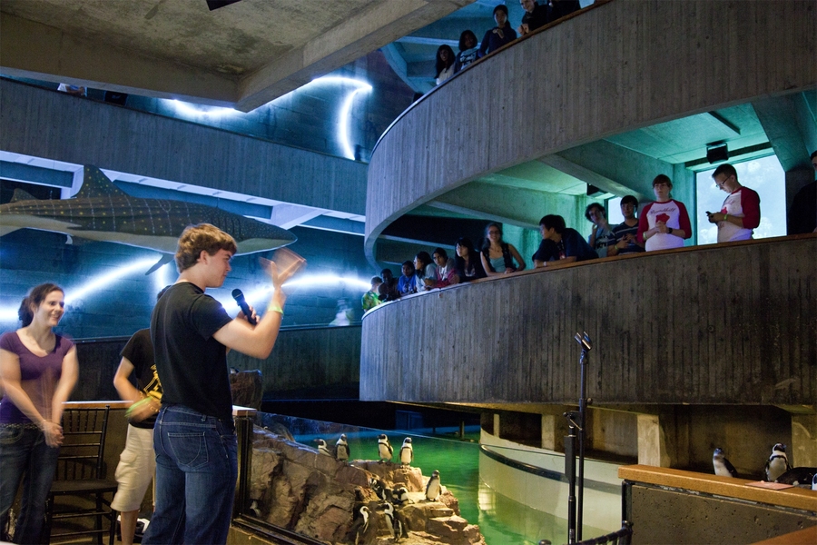 Members of MIT's improv acting troupe perform for students — and penguins — at the New England Aquarium. Nearly a 1,000 incoming freshmen traveled to the Aquarium on Friday, Sept. 2, for an MIT-only night of dancing, hands-on exploration, performance and other activities.