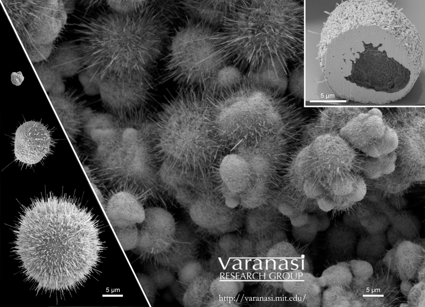 Images taken with a Field Emission Scanning Electron Microscope show the nanowire bristles that form on copper particles of different sizes. At top right, a cross-section of one of the particles reveals its hollow interior.