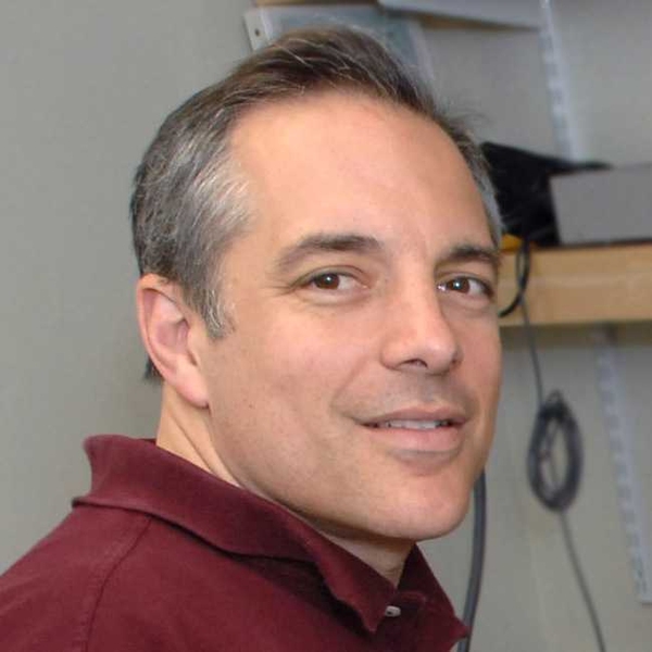 Elazer R. Edelman, the Thomas D. and Virginia W. Cabot Chair of Health Sciences and Technology at MIT