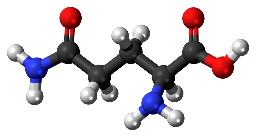MIT researchers have found that when deprived of oxygen, cancer cells can engage an alternate metabolic pathway that allows them to use glutamine (seen above) as the starting material for synthesizing lipids.