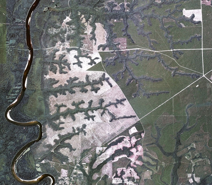 Aerial image of valley networks eroded by groundwater sapping into a sand plateau east of the Apalachicola River, near Bristol, Fla. Image is approximately 11 km wide. 