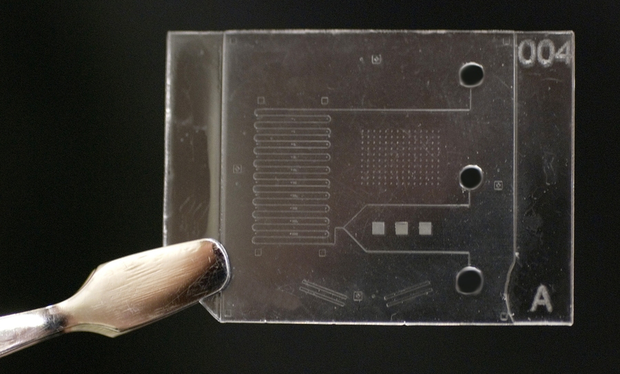 The Center for Polymer Microfabrication is designing processes for manufacturing microfluidic chips. Pictured here is a chip fabricated by the center's tailor-made production machines.