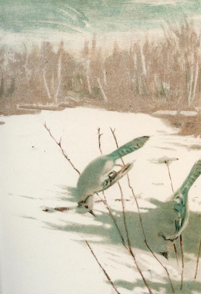 These color plates, from the 'Art of Disappearance' portfolio in Hanna Rose Shell's book <i>Hide and Seek,</i> represent the attention paid to naturally existing forms of protective coloration around the time that 'camouflage' got its name, and began to serve as a model for a new set of human technologies of strategic concealment; they draw from the collection of artist and nat...