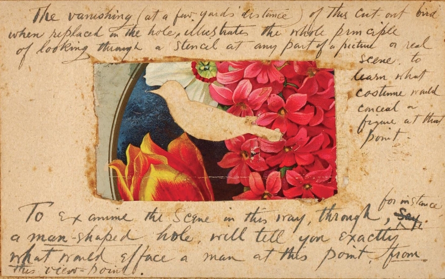 These color plates, from the 'Art of Disappearance' portfolio in Hanna Rose Shell's book <i>Hide and Seek,</i> represent the attention paid to naturally existing forms of protective coloration around the time that 'camouflage' got its name, and began to serve as a model for a new set of human technologies of strategic concealment; they draw from the collection of artist and nat...
