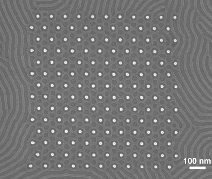 A scanning electron microscope image shows a pattern produced by the MIT team's self-assembling polymer system. A grid of posts, seen as light-colored circles, controls the size and spacing of structures on the surface. Cylinders outside the grid form quite different shapes than those inside it, which are controlled by the posts.