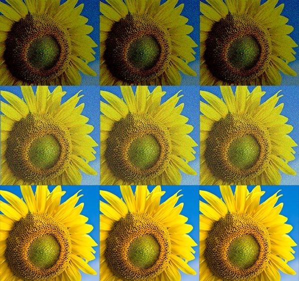 An image undergoing basic processing steps; exposure adjustments, then noise reduction, to arrive at the final image (bottom).