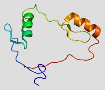 Structure of the CTCF protein