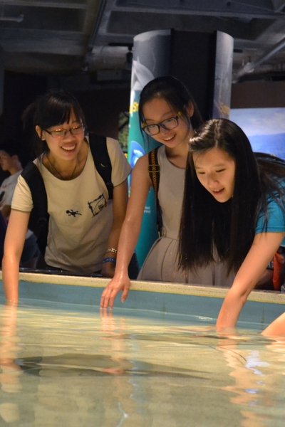 There were several ways to get involved throughout The Friday Night Event &#8212; from the visually stimulating IMAX experience to reaching into the New England Aquarium&#39;s touch-tank exhibit.