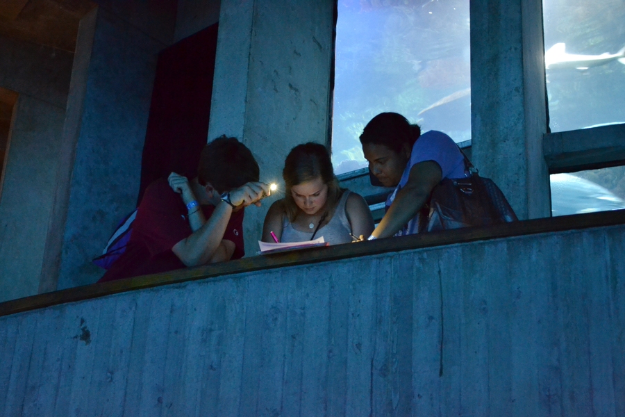 This year&#39;s trip included a challenging multi-piece puzzle for students to complete throughout the night. Many students formed groups to collaborate and brainstorm ideas to complete each puzzle sheet.