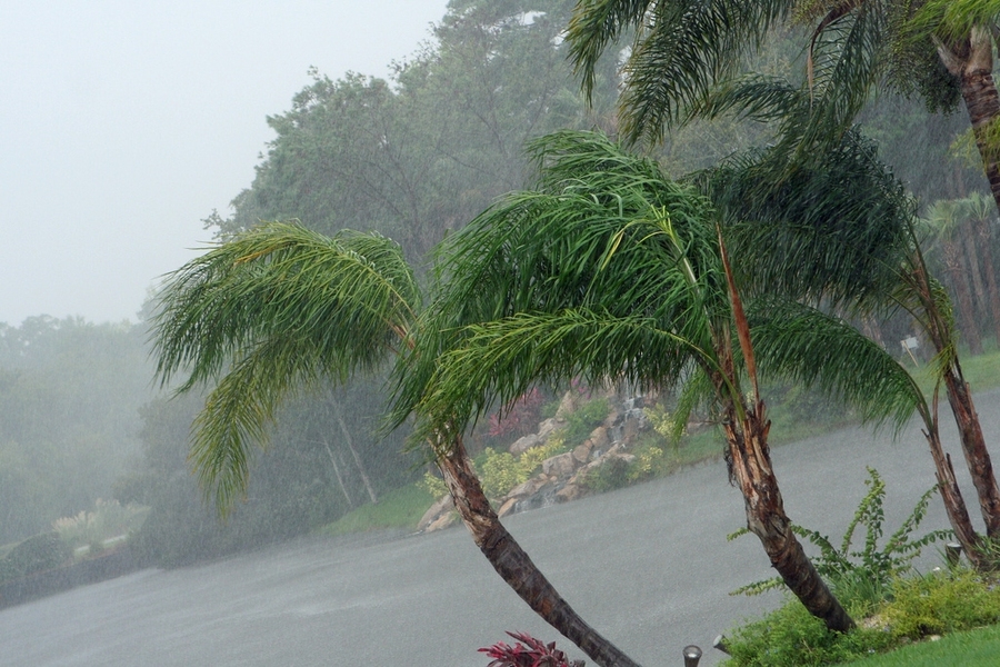 Rainy Season in the Tropics