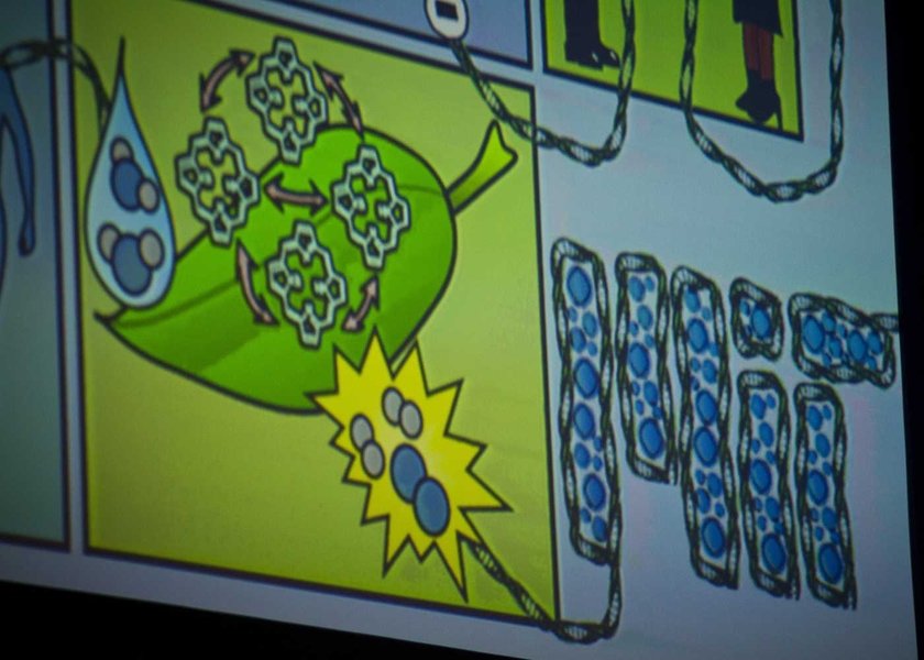 One presenter&#39;s slide featured a biologically inspired representation of the MIT logo.