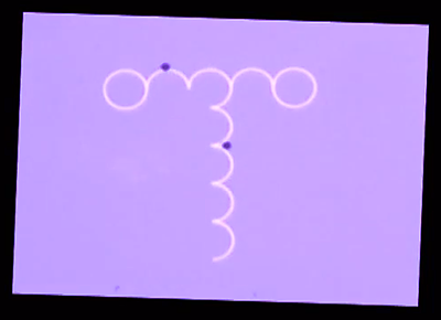 Abstract graphic of pink circles and half circles on a purple background