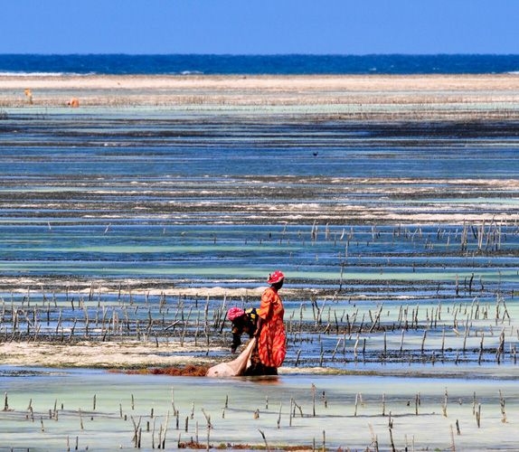 Farmers in Zanzibar, Tanzania