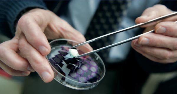 Carbon-nanotube-coated chips made at MIT ultimately led to the development of enhanced ultracapacitors for large-scale energy storage. Now, MIT researchers are looking into using them at a tiny scale, embedded within integrated circuits for power switching.