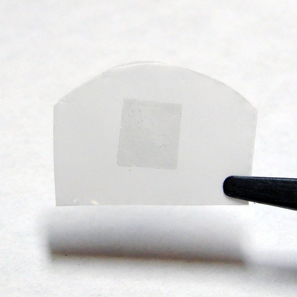 The researchers' membrane, consisting of graphene on a polycarbonate track etch membrane (the graphene is the darker region in the center of the white film). The total membrane is about 2 cm wide by 1 cm tall, while the graphene portion is about 5 mm by 5 mm.