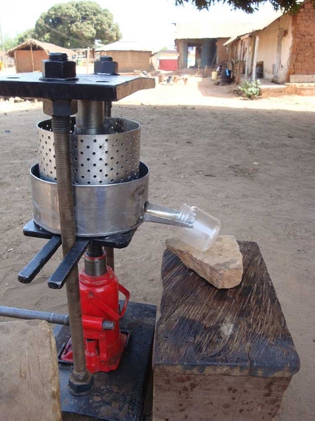 IDDS 2009, Lisa Tocarante