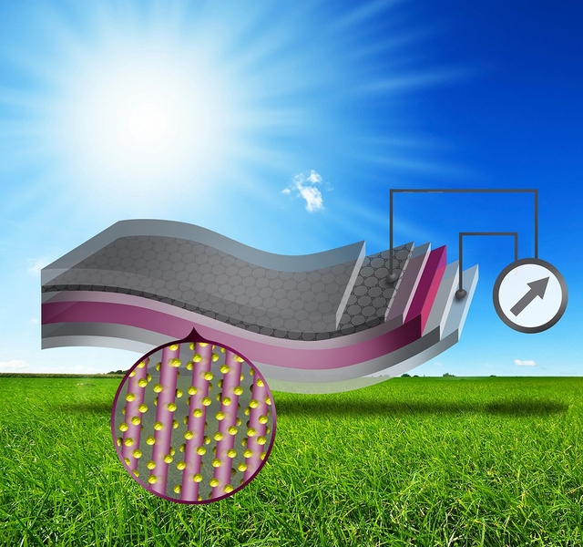 Illustration shows the layered structure of the new device, starting with a flexible layer of graphene, a one-atom-thick carbon material. A layer of polymer is bonded to that, and then a layer of zinc-oxide nano wires (shown in magenta), and finally a layer of a material that can extract energy from sunlight, such as quantum dots or a polymer-based material.