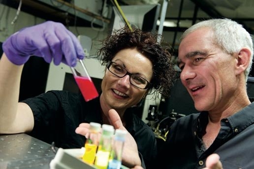 Dörthe M. Eisele of the Research Laboratory of Electronics (left) and Moungi G. Bawendi of chemistry are investigating fundamental processes in light-harvesting nanotubes and quantum dots with a goal of one day developing a completely new approach to collecting energy from the sun.