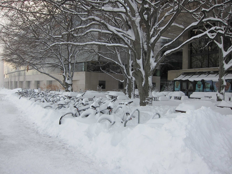 Bicycles in front of the Stratton Student Center (Building W20) were almost completely buried by the massive storm.