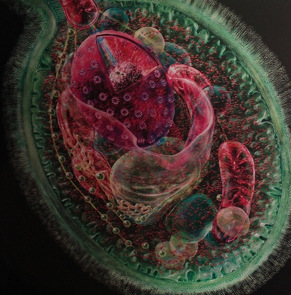 organelles inside a cell