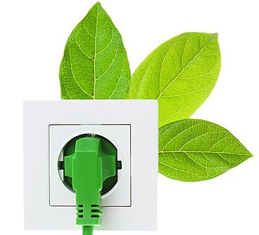 Photo illustration of an electrical wire plugged into several green leaves