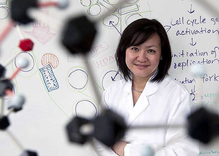 Li-Huei Tsai, director of the Picower Institute for Learning and Memory