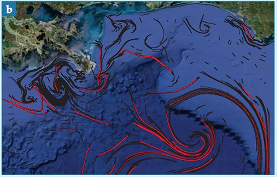 The lines highlighted in red are the attracting Lagrangian coherent structures responsible for shaping the 'tiger tail' in the Deepwater Horizon oil spill.