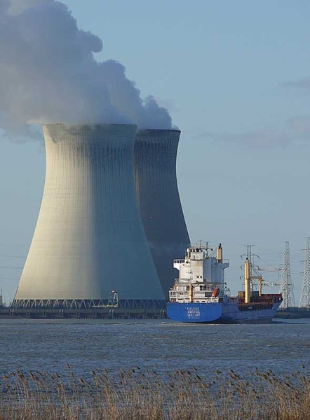 Countries around the world are reassessing the future of nuclear power.