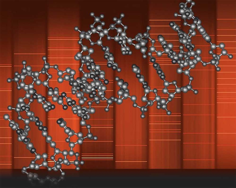 how to read dna 